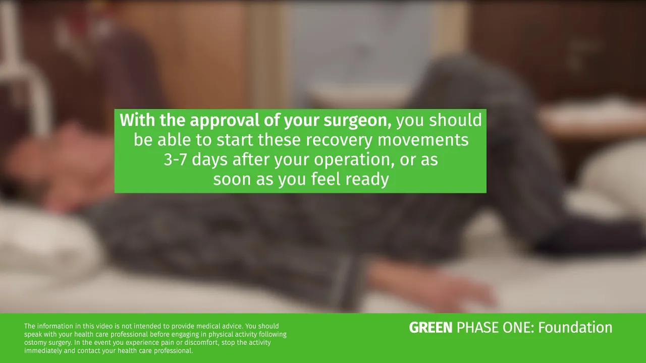 녹색과 흰색 기호