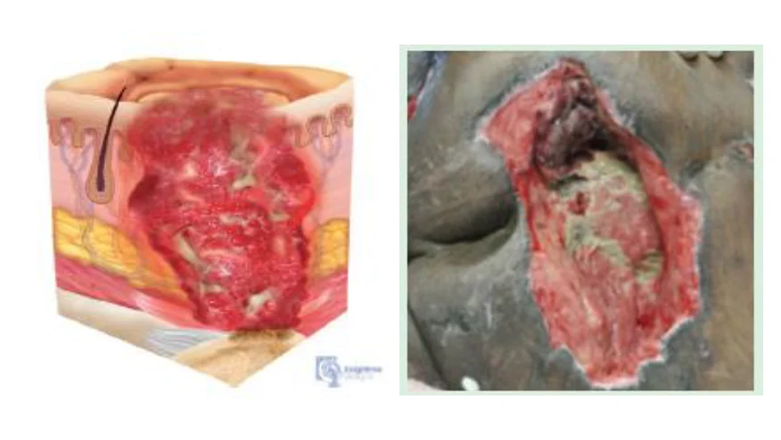 Un primer plano de unas rocas
