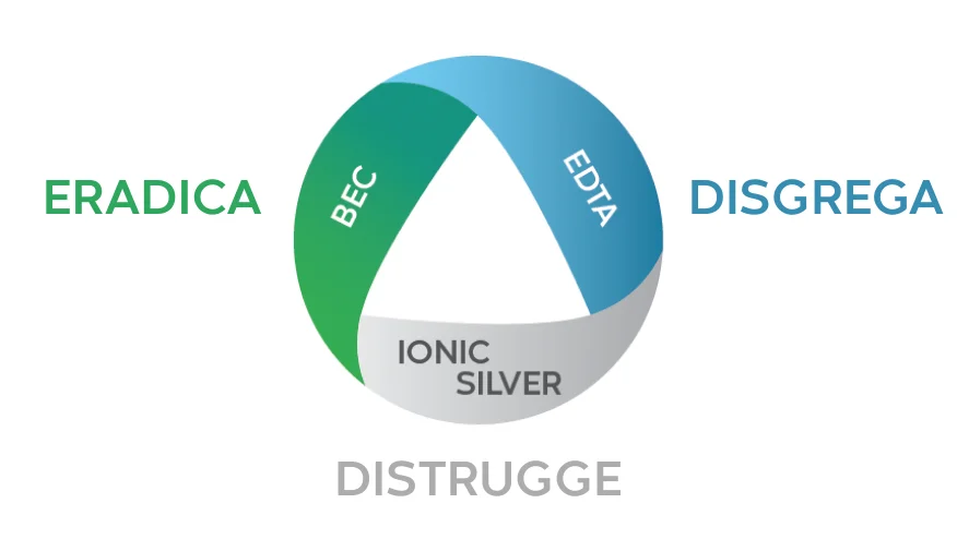 Un diagramma circolare con sezioni etichettate "EDTA", "IONIC SILVER" e "BEC" descrive la collaborazione per distruggere i biofilm.