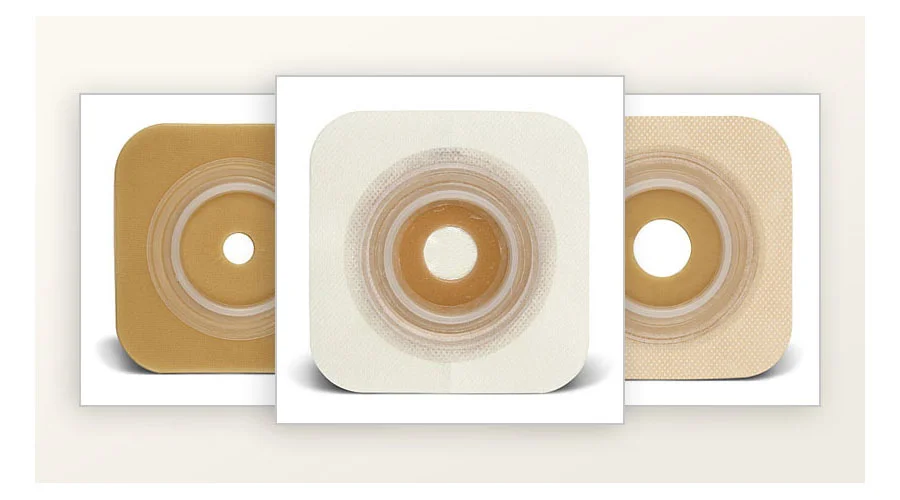 un grupo de platos con comida en ellos