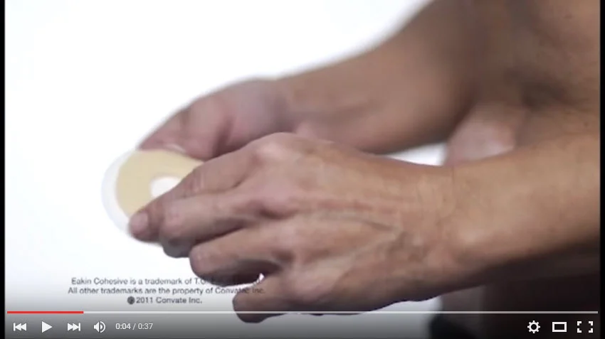 graphical user interface, application